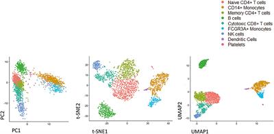 Single-Cell Approaches to Profile the Response to Immune Checkpoint Inhibitors